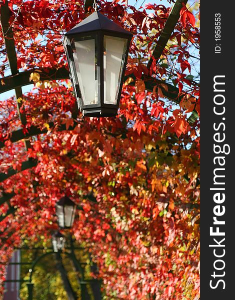 Lantern in red autumn leaves