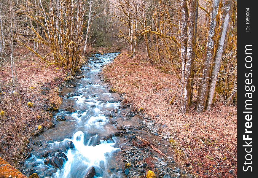 rocky stream in northwest washington state usa. rocky stream in northwest washington state usa