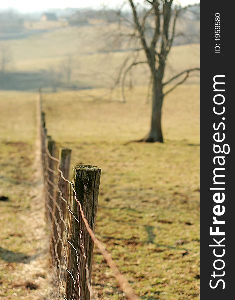 A wire fence on a farm on a field