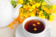 Cup Of Tea Stock Photo Cup Of Tea Stock Photo