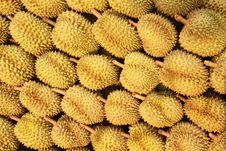 Durian , King Of Fruit Stock Photography Durian , King Of Fruit Stock Photography