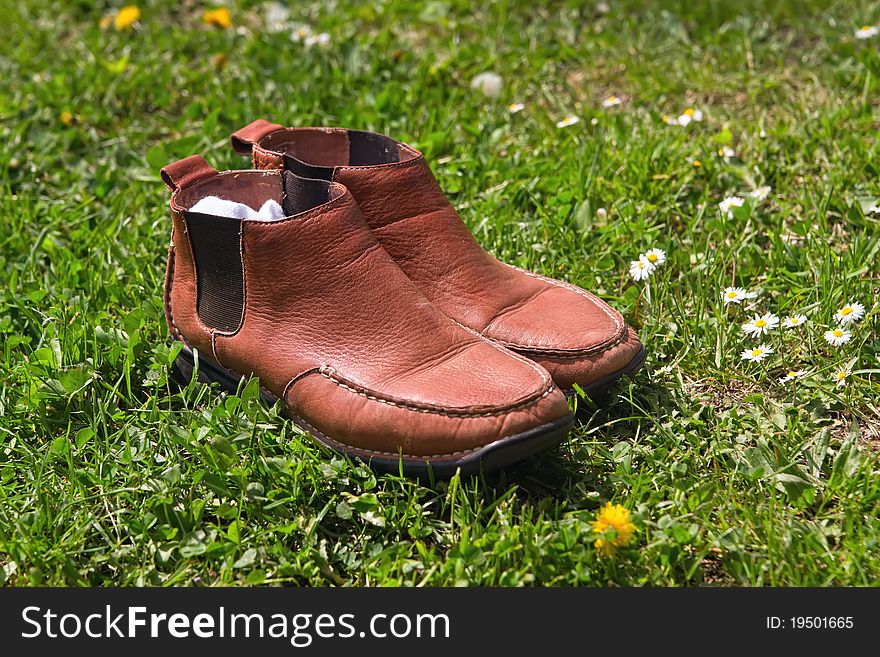 Shoes on a green grass