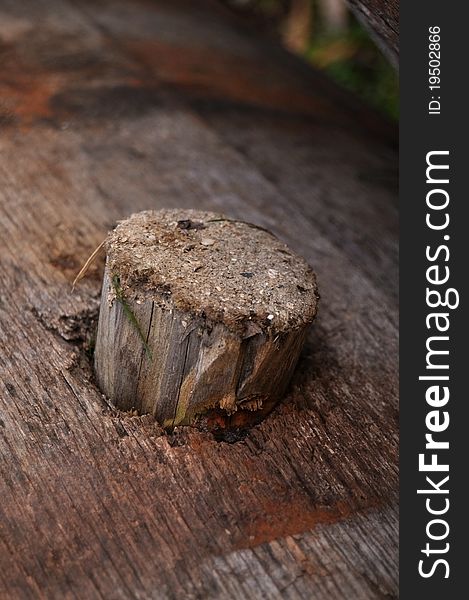 Wooden cork in a wine barrel