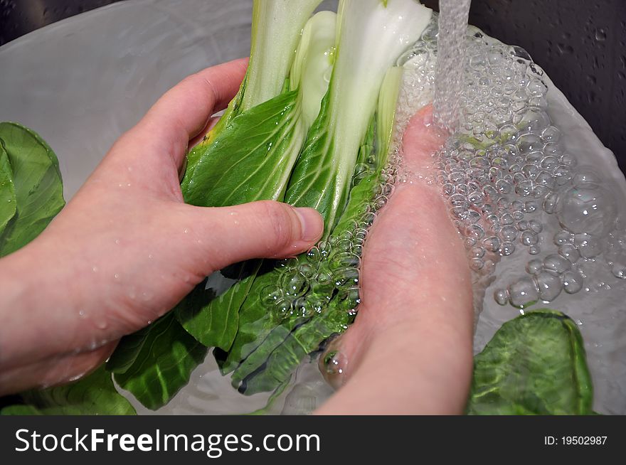 Macro woman hand washing vegetable