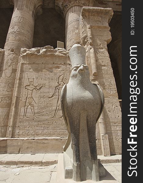 Large statue of the falcon god with hieroglyphics on wall at Edfu Temple. Large statue of the falcon god with hieroglyphics on wall at Edfu Temple