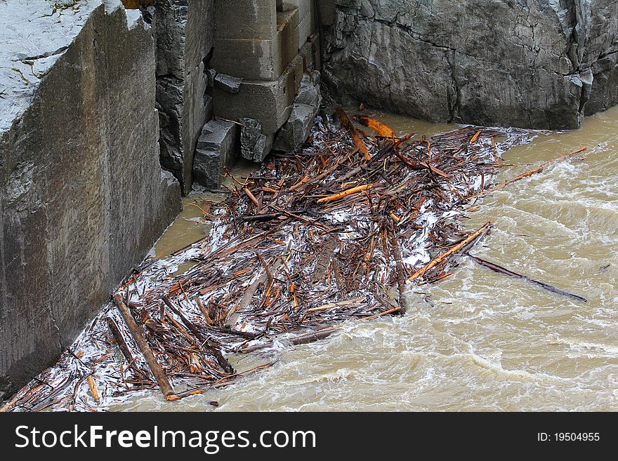 Logs caught in the current of the Frazer Canyon. Logs caught in the current of the Frazer Canyon