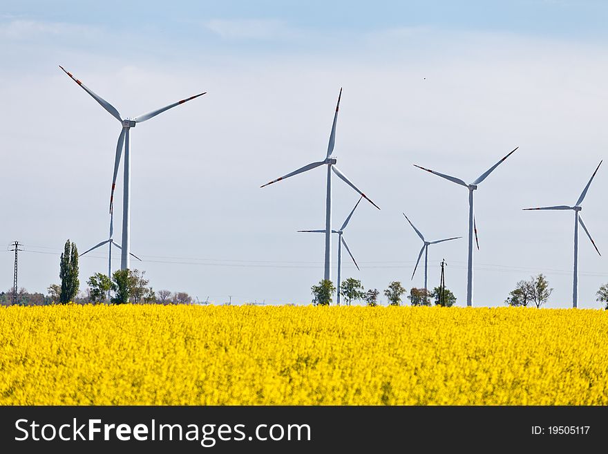 Wind powerplants countryside in field