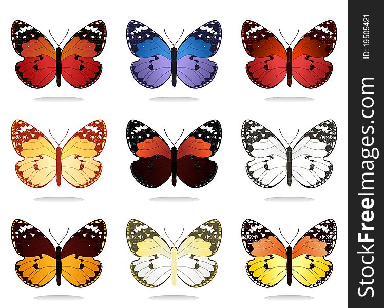 Collection of butterflies of different kinds. A  illustration. Collection of butterflies of different kinds. A  illustration