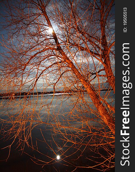 I love this photograph! It was taken at 4 am on 2.5 second shutterspeed in Silver Lake Minnesota. The moon light creeps through the barren branches reflecting on the water and from that moonlight appears to create a bowl of fire on the water in the background. I love this photograph! It was taken at 4 am on 2.5 second shutterspeed in Silver Lake Minnesota. The moon light creeps through the barren branches reflecting on the water and from that moonlight appears to create a bowl of fire on the water in the background.