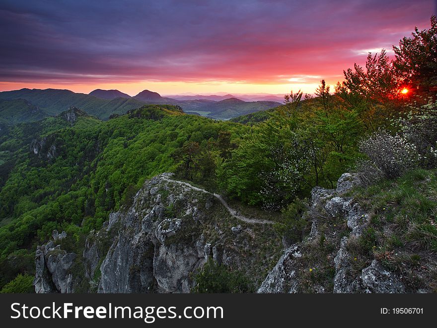 Green forest mountain at sunset