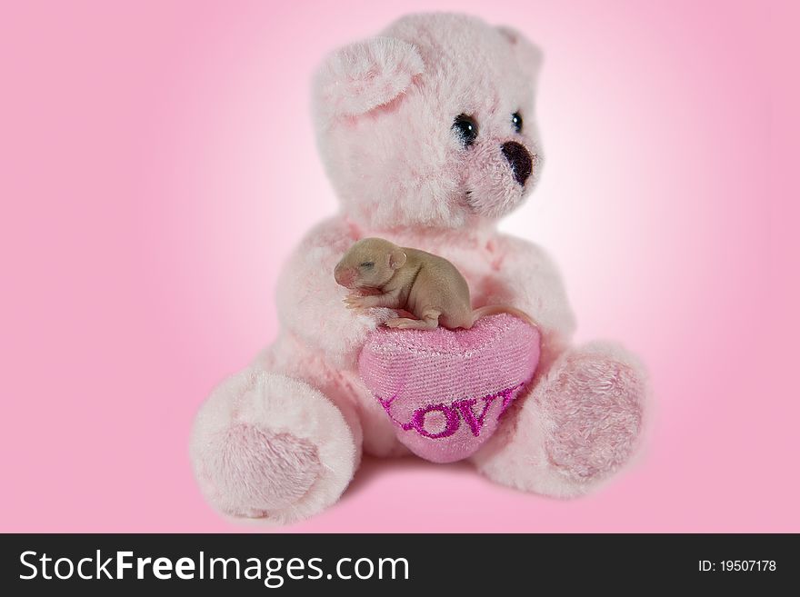A baby mouse and pink stuffed bear.