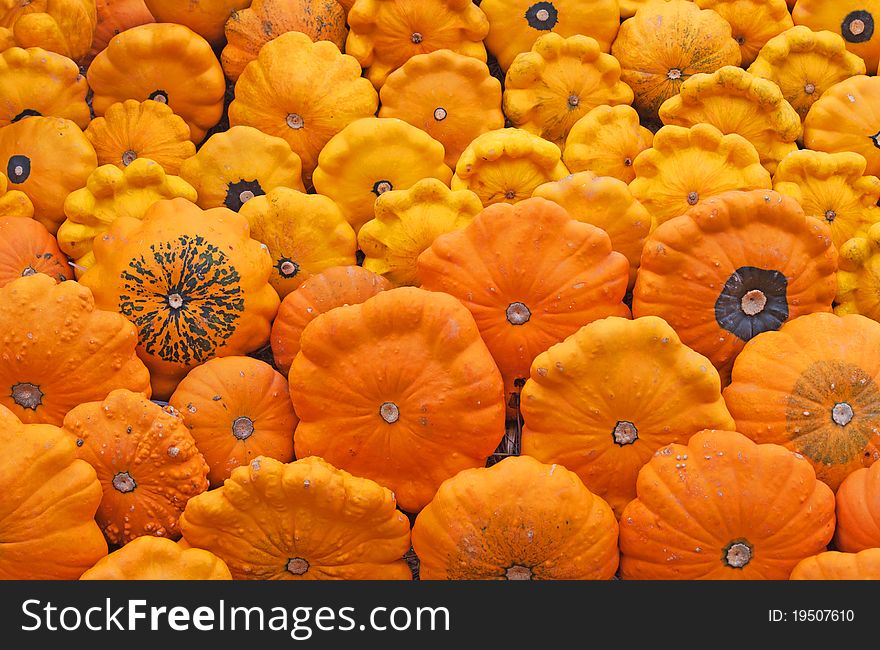 Colorful Pumpkins