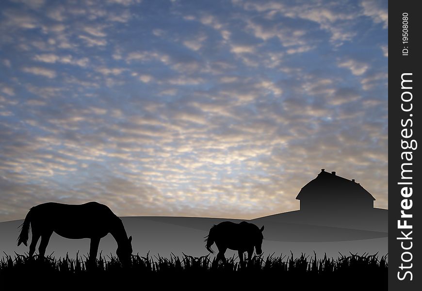 Two horses on pasture at sunset