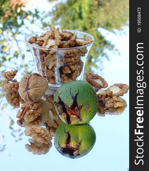 Beautiful still life image of nuts