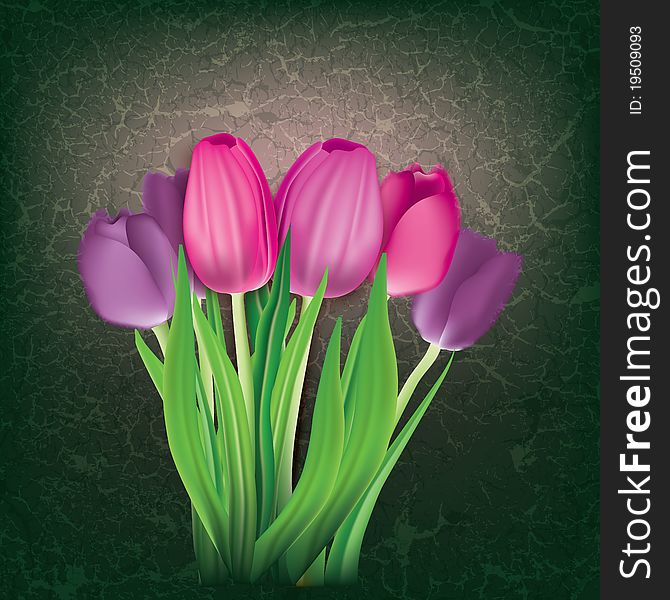 Abstract floral background with pink tulips on black. Abstract floral background with pink tulips on black