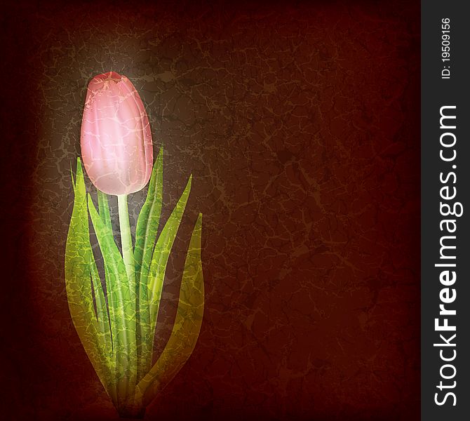 Abstract floral background with red tulip on black. Abstract floral background with red tulip on black