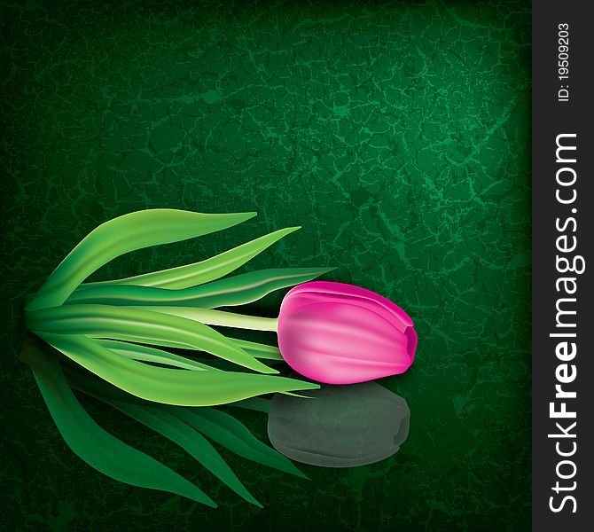 Abstract floral illustration with pink tulip on cracked green background. Abstract floral illustration with pink tulip on cracked green background