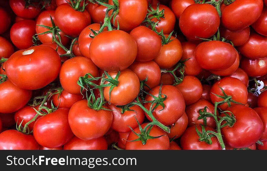 Fresh Garden Tomato