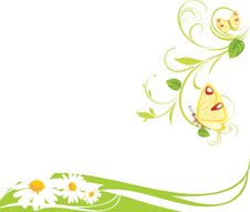 Chamomiles And Butterflies. Spring Composition Stock Photos Chamomiles And Butterflies. Spring Composition Stock Photos