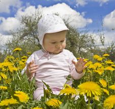 Baby Sitting In Meadow With Dandelions Royalty Free Stock Photography