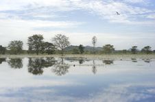 Landscape Of Sri Lanka Royalty Free Stock Photos Landscape Of Sri Lanka Royalty Free Stock Photos
