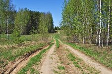 Country Dirt Road In New Forest Royalty Free Stock Photography