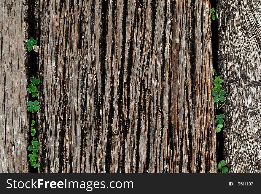 Wooden Bridge Texture