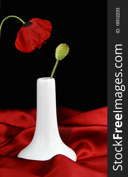 White vase with bud poppy flower
