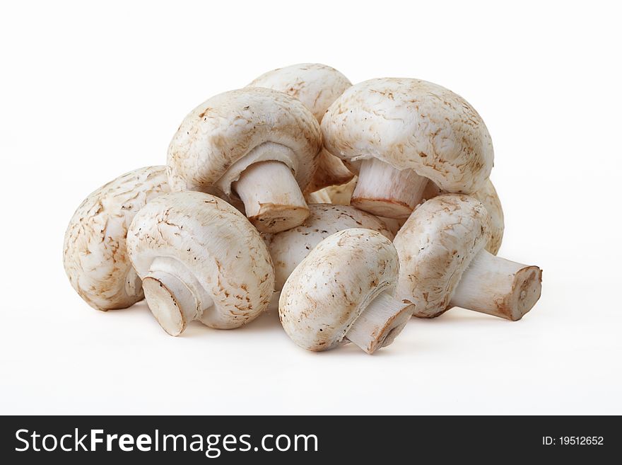 Field mushrooms on a white background