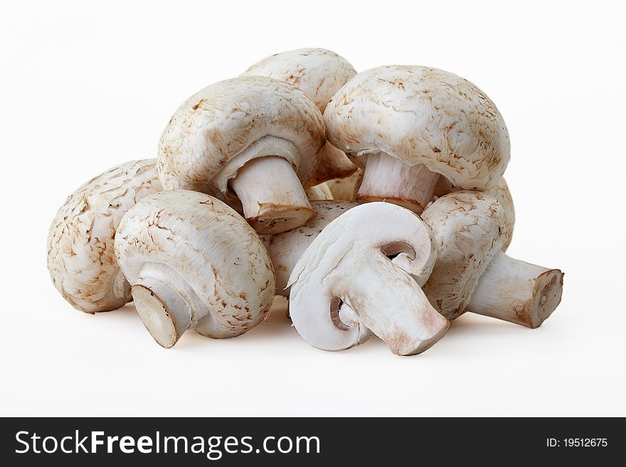 Field mushrooms on a white background