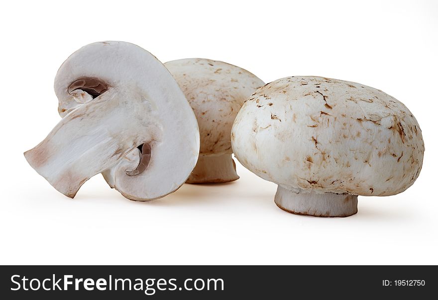 Field mushrooms are isolated on a white background
