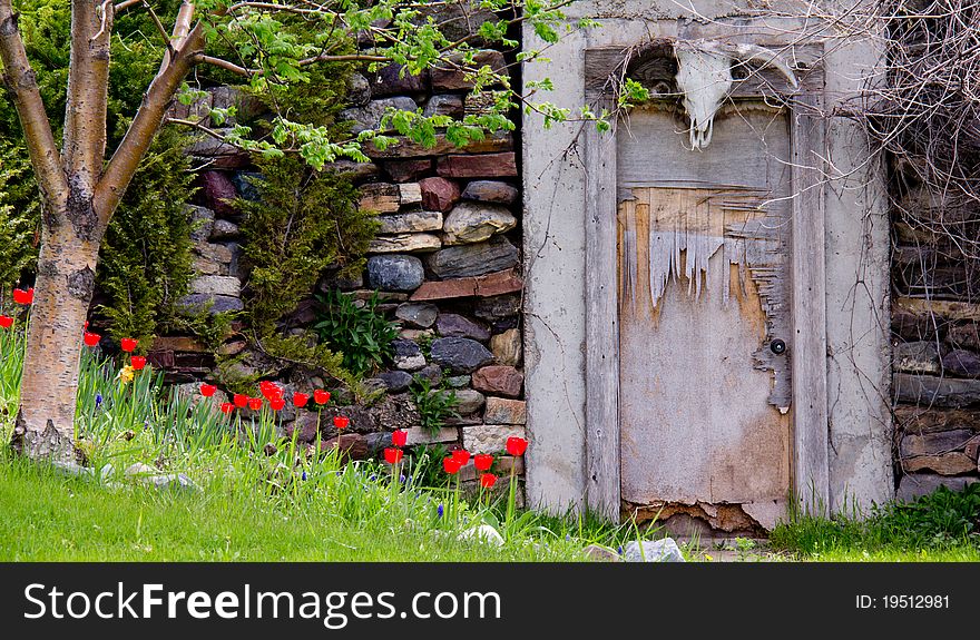 The image of the red inviting tulips, tree, rock wall, old door with the bull skull above was taken in the Moiese Valley of NW Montana. The image of the red inviting tulips, tree, rock wall, old door with the bull skull above was taken in the Moiese Valley of NW Montana.