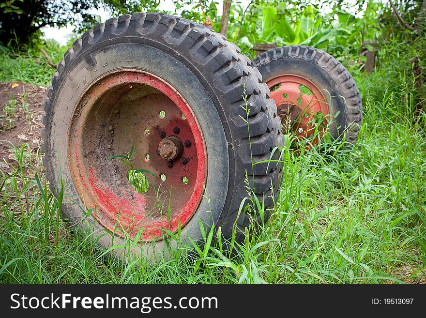 Old used car tires in the green nature