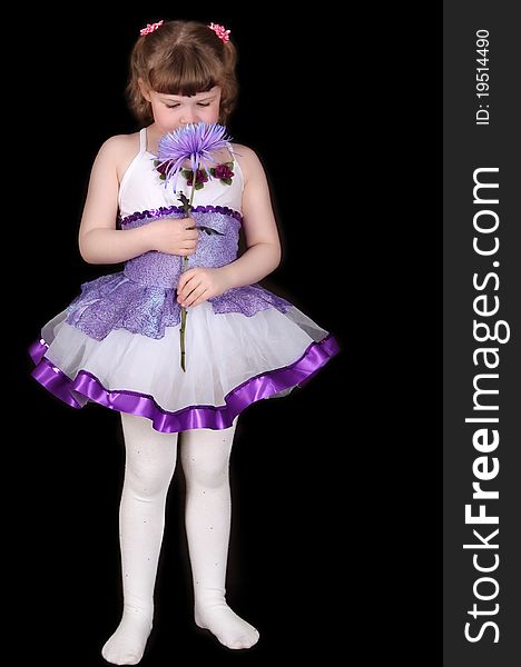 Sweet little girl in purple and white tutu smelling flower. isolated on black. Sweet little girl in purple and white tutu smelling flower. isolated on black