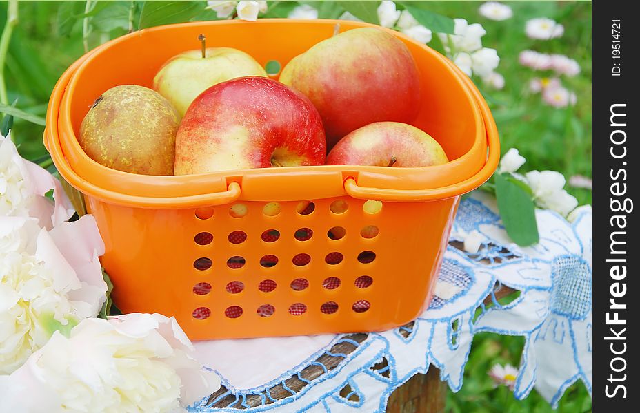 Red apples in the orange basket on the bench in garden, rural still-life in sunny day. Red apples in the orange basket on the bench in garden, rural still-life in sunny day
