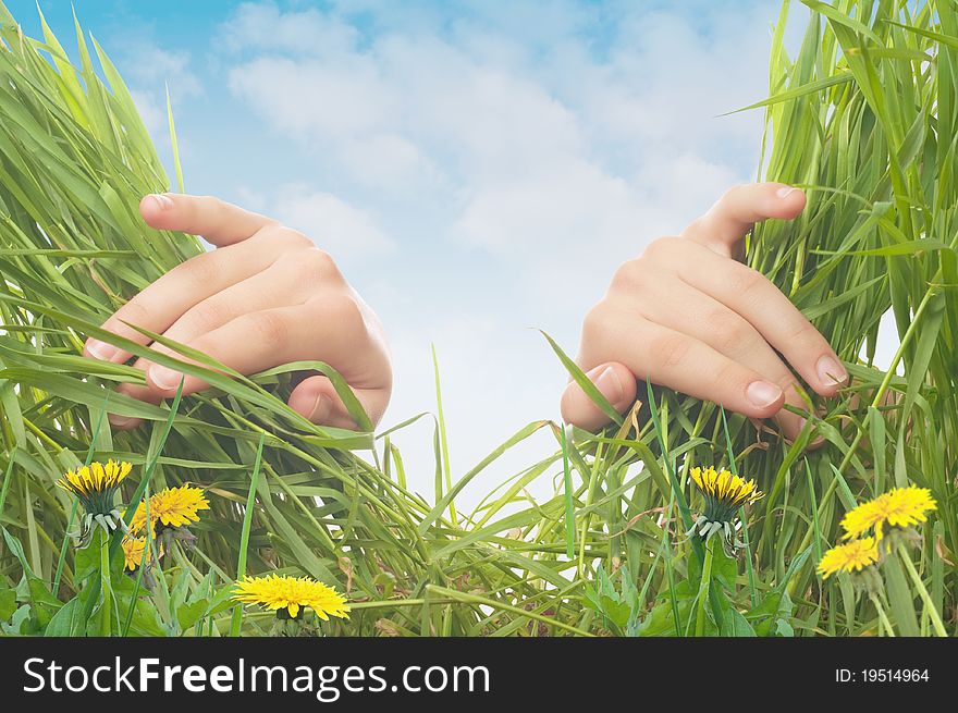 Spring background. Hands and grass