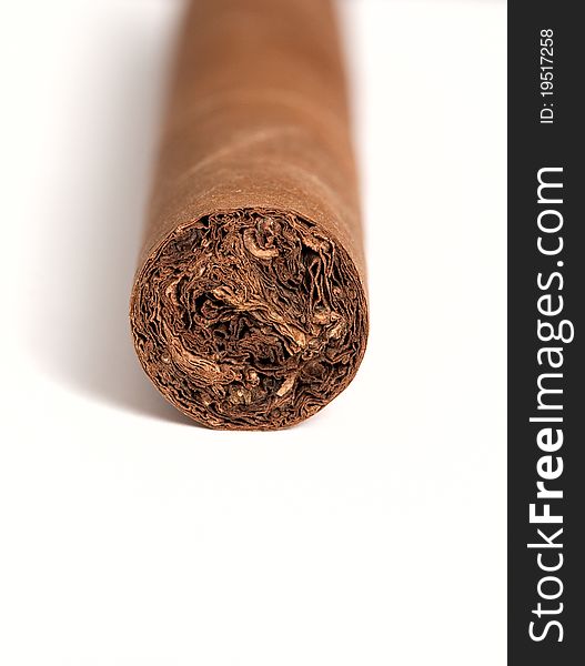 Cigar Isolated On White Background