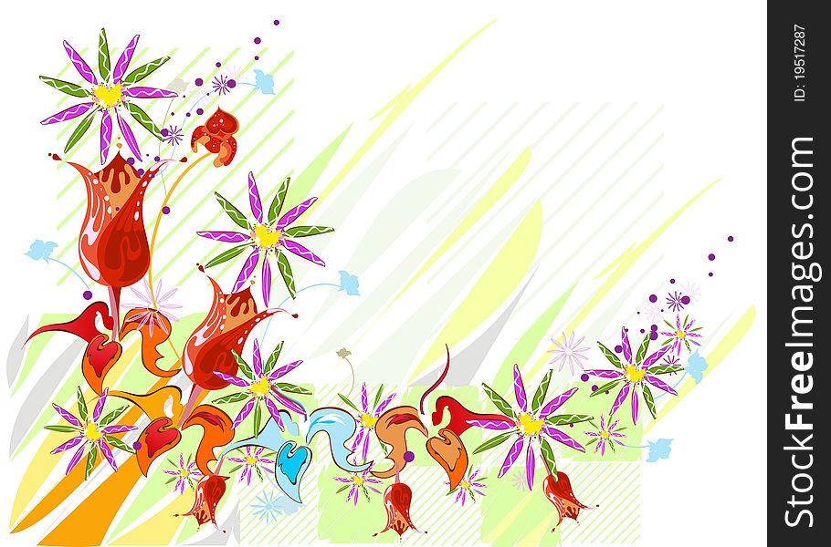 Background with summer colourfull flowers