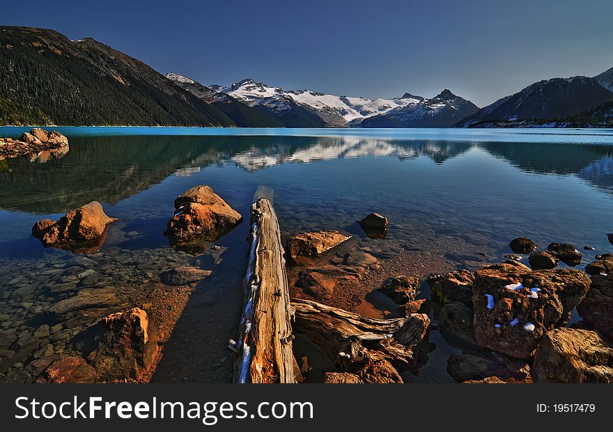 Driftwood In Mountain Lake