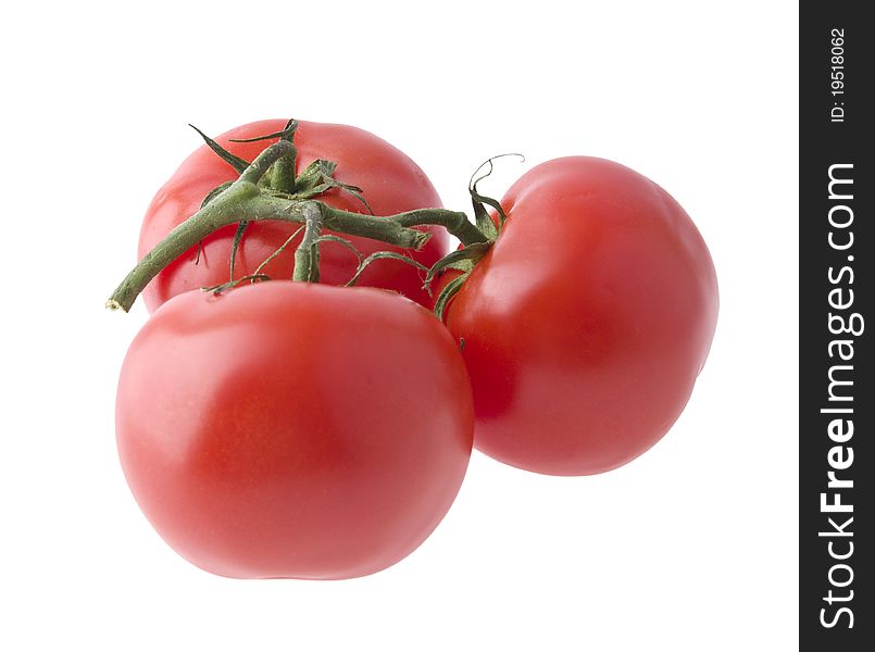 Tomatoes on a green branch on a white background