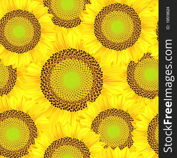 Seamless Background From Sunflowers. Illustration.