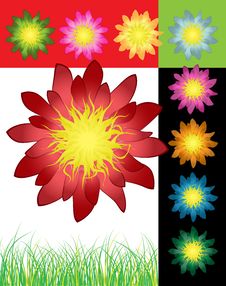 Flower Set For Your Design Stock Photography