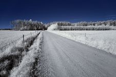 Landscape In The Infrared Stock Photo Landscape In The Infrared Stock Photo