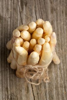 Fresh White Asparagus Royalty Free Stock Image Fresh White Asparagus Royalty Free Stock Image