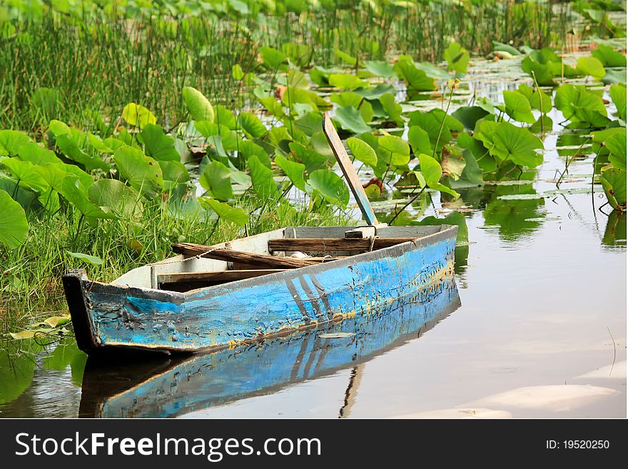 Photo of lotus lake with a boat