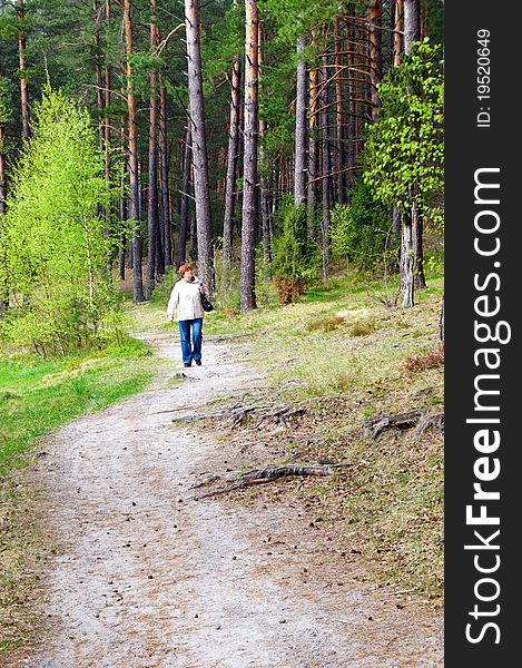 Woman walking purposefully through beautiful, sunlit forest. Woman walking purposefully through beautiful, sunlit forest.