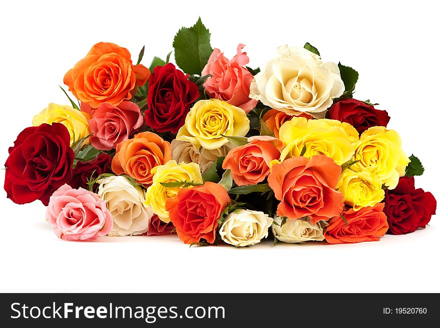 Roses, bunch of flowers for gift against white background