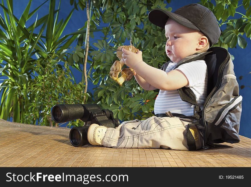 Sits on a background of green shrubs. Sits on a background of green shrubs.