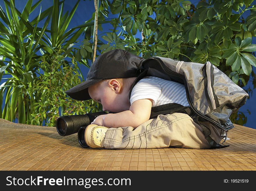 Sits on a background of green shrubs. Sits on a background of green shrubs.