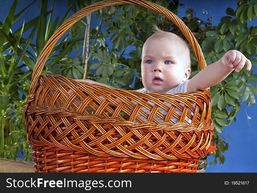 The Baby Sits In A Large Basket
